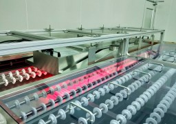 Building Glass Industry-Rapid Drying of Coating